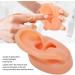 Jacksking Silicone Ear Model - Realistic Textured Medical Teaching Aid for Office Use - Buy Online on GoSupps.com