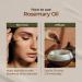 Gya Labs 100% Pure Rosemary Oil for Hair Growth & Dry Scalp - 0.34 fl oz | Therapeutic Grade Essential Oil for Hair Loss, Skin & Diffuser - Buy Online on GoSupps.com