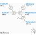 Comprim s d' lectrolytes 1.034 mg avec magn sium potassium calcium et sodium pour l' quilibre lectrolytique & la fonction musculaire 180 comprim s v g taliens complexe d' lectrolytes pour 6 mois lectrolytes - 180 Comprim s - Buy Online on GoSupps.com