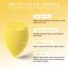 AUAUY 6 Pcs Makeup Sponges Blender Set 4 Pcs Professional Beauty Sponge Foundation Blending Blender with 1 Sponge Holder 1Powder Puff Multi-colored Makeup Sponges for Cream Liquid and Powder 4pcs-Yellow - Buy Online on GoSupps.com