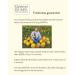 Kürbishof DEIMEL Original Styrian Pumpkin Seed Oil - Oil cans - modern & stylish - 1000ml - Buy Online on GoSupps.com