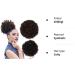 Short Kinky Curly Synthetic Afro Puff Drawstring Bun Ponytail Extension - Medium Size 4# - Updo Hairpiece Clip-in Bun Ponytail for Natural Looking Hair Style (65g) - Buy Online on GoSupps.com