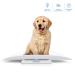 AccuMed Multi-Function Baby & Pet Scale - Digital Weight & Height Tracker with Blue Backlight - Buy Online on GoSupps.com