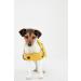 Rosewood Joules Antique Gold Raincoat Extra Small - Buy Online on GoSupps.com