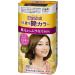 Kao Blaune Easy Painting Gloss Hair Color - 4 M Maron Brown (Green Tea Set) - Buy Online on GoSupps.com