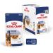 Royal Canin Maxi Ageing 8+ | Pack of 4 | 4 x 10 x 140 g | Complete Food for Dogs | for Large Older and Senior Dogs (26 to 44 kg) | From 5 Years - Buy Online on GoSupps.com