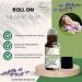  Conseil fleur de Bach FLORESSE Roll on Meno'Calm Say Goodbye to Menopausal Discomforts 10 ml - Buy Online on GoSupps.com