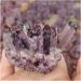 Very Beautiful Natural Amethyst raw Stones Quartz Minerals Gemstone Remove Negative (Size : 500-600g) (Size : 400-500g) - Buy Online on GoSupps.com