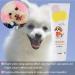 Pet-safe 80g Hair Color Dye Gel for Dogs and Cats - Non-Toxic and Natural Pigment, Harmless and Safe for Pets - Pink - Buy Online on GoSupps.com