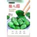 Laba Garlic 250/500g Shandong specialty authentic emerald green garlic green garlic sugar garlic sweet and sour garlic delicious snacks Vegetables and fruits (500g 3bags) 500g 3bags - Buy Online on GoSupps.com