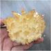 Very Beautiful 1pc Natural Crystals Quartz Freeform Reiki Stone Room Home Office Aquarium Decoration Accessories Gemstone (Size : 300-350g) Home Goods (Size : 300-350g) - Buy Online on GoSupps.com