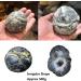 Natural Crystal Natural Agate Original Stone Crystals Raw Rough Specimens Jade Gemstones Ornaments450-500g - Buy Online on GoSupps.com