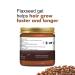 Organic Netra Pure Flaxseed Gel with Vitamin E | Nourish & Strengthen Hair & Skin | Anti-Aging & Safe for All Skin Types - 7.05 Oz - Buy Online on GoSupps.com