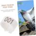 Yardwe 300 Pcs Pigeon Anklet Chicken Drumsticks Tag Plastic Foot Ring for Pigeon Poultry Pen Parrot Baby 1.3X1.3CMx3pcs Whitex3pcs - Buy Online on GoSupps.com