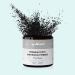 My White Secret Teeth Whitening Powder for Sensitive Teeth - 60ml | Effective Bleaching Solution for Bright Smiles - Buy Online on GoSupps.com