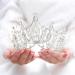 Unicra Silver Princess Crown Costume Rhinestone Bridal Tiaras Headband Wedding Queen Crowns Pageant Prom Hair Jewelry for Women and Girls (A Silver)