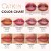CATKIN Semi-Matte Lipstick Long Lasting Matte Lipstick High Impact Color Moisturizer Infused with Vitamin E and Avocado Oil Smooth Soft Texture - Buy Online on GoSupps.com