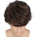 Men's Layered Wave Wig with Ponytail - Synthetic Cosplay & Halloween Costume Wig Y248-Braun - International Shipping Available - Buy Online on GoSupps.com