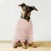 Shop Pink XS Dog Sweater with Legs - Cozy Jumpsuit & Pajamas for Small to Large Dogs | Soft & Warm Pet Jacket - Buy Online on GoSupps.com