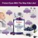Dr. Brian Lutein Gummies: Eye Vitamins for Kids & Adults | Blueberry Chewable Supplement for Vision Health - Buy Online on GoSupps.com
