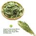 Organic Stevia Leaf Sweet Tea | Herbal Tea | 20g Plant Gift for Health - Buy Online on GoSupps.com