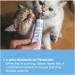 GimCat EXPERT LINE Kitten Paste - Development and Growth Support Snack - 50g Tube - Buy Online on GoSupps.com