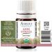 Organic Ammi Visnaga Essential Oil 100% Pure and Undiluted Premium Quality Aromathearpy Oil Tested and Verified Size: 3mL (0.1 Fl. Oz.) Ammi Visnaga 0.1 Fl Oz (Pack of 1) - Buy Online on GoSupps.com