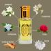 INTENSE OUD Desert Wind Perfume Oil 12ML (0.40 OZ) With Black Gift Box Luxurious Florals With Romantic Rose & A Creamy Sandalwood Base. - Buy Online on GoSupps.com