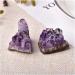 Natural Crystal Rough 1PC Natural Amethyst Crystal Cluster Quartz Raw Crystals Stone Decoration Ornament Purple Feng Shui Stone Ore Crafts 1PC Random Delivery - Buy Online on GoSupps.com