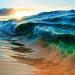 Maui Miracle Oil - Coconut | Premium Skincare for Glowing Skin | Shop Internationally - Buy Online on GoSupps.com