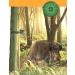 Berger + Schr ter Wildmelder 2 Transmitter Set - Green Hunting Alarm - International Shipping Available - Buy Online on GoSupps.com