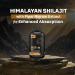 Himalayan Shilajit Capsules | Pure & Potent | Improves Muscle Strength Stamina Energy & Power | Supports Faster Recovery | Natural & Organic | 60 Capsules 60 Count (Pack of 1) - Buy Online on GoSupps.com