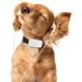 Buy Winnes Dog GPS Tracker TK911 - Waterproof Real-Time Tracking & Geofencing for Small Pets - No Subscription Required - Buy Online on GoSupps.com