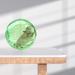Totority Hamster Exercise Ball 3.9 Inch Transparent Hamster Ball Running Hamster Wheel for Dwarf Hamsters - Buy Online on GoSupps.com