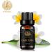 100% Pure Gardenia Essential Oil - Therapeutic Grade for Diffuser Massage & Skin Care - 10ml Aromatherapy Oil for Home & Humidifier - Buy Online on GoSupps.com