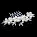 Dooppa Hair Comb Bridal Wedding Flower Rhinestones Women Hair Comb D14 - Buy Online on GoSupps.com