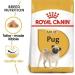 Royal Canine Adult Carlino 1.5Kg 1500 g - Buy Online on GoSupps.com