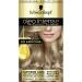 Schwarzkopf Oleo Intense Permanent Blonde Hair Dye Oil Enriched Ammonia Free Up to 100 Percent Grey Coverage Beige Blonde 8-05 Beige Blonde 1 Count (Pack of 1)