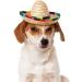 Kitatayi Mini Straw Sombrero Hat for Small Pets - Mexican Sombrero Party Hat for Dogs, Puppies, and Cats - Buy Online on GoSupps.com