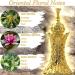 Moonlight Amber Perfume Oil for Women - Ananga & Bergamot Unisex Perfume Oil - Oriental Floral Scent with Lotus Rose Vanilla & Amber - 10ml + 5ml Long-Lasting Concentrated Roll-On - Buy Online on GoSupps.com