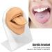Deosdum Lifelike Silicone Mouth Tongue Model for Jewelry Display - Professional Piercing Practice Tool (Skin Color) - International Shipping Available - Buy Online on GoSupps.com