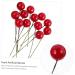 Zerodeko 1440 Pcs Diy Foam Red Fruit Decor Photo Props Fake Artificial Fruit Berry Picks Red Berry Stems Red Berries Artificial Berries Simulation Berries Garland Craft Fruit Wreath Redx10pcs 2x2x2cmx10pcs - Buy Online on GoSupps.com