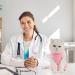 Avont Katzenbody Recovery Suit for Cats - Post-Op Clothing Leak Protection for Abdominal Wounds & Skin Diseases - Rose Pink S - Buy Online on GoSupps.com