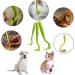 3PCS of Tick Hooks are Suitable for all Tick Anti-Tick Levers to Protect Dogs Cats and Horses Tick Traps Tick Hooks Tick Traps (Green) - Buy Online on GoSupps.com