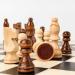 Wooden Magnetic Set with Portable Folding Chessboard for Study Family Party Game Chess Set (Size : L-34cm) (L) - Buy Online on GoSupps.com