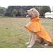 OCSOSO Waterproof Dog Raincoat with Hood & Harness - Reflective Light Jacket for Small Dogs (Orange XS) - Buy Online on GoSupps.com