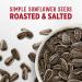 David Roasted & Salted Jumbo Sunflower Seeds - Keto Friendly 5.25 oz (12 Pack) - Buy Online on GoSupps.com