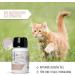 Reavet Intestinal Oil for Cats - 6 Month Supply for Optimal Digestion & Normal Fecal Quality | Salmon Duck & Linseed Oil Blend - Buy Online on GoSupps.com