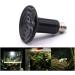 Liuer 2PCs Ceramic Heat Lamps for Reptiles | E27 Spotlight | Ideal for Turtles Lizards Snakes & Spiders (50W) - International Shipping - Buy Online on GoSupps.com