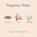 Meadow Perfume By Skylar - Travel-Sized Rollerball - Paraben-Free Phthalate-Free Vegan and Cruelty-Free Fragrance - Floral Chic Beautiful - With Notes of Rose and Tuberose (10mL / 0.33 fl oz) - Buy Online on GoSupps.com